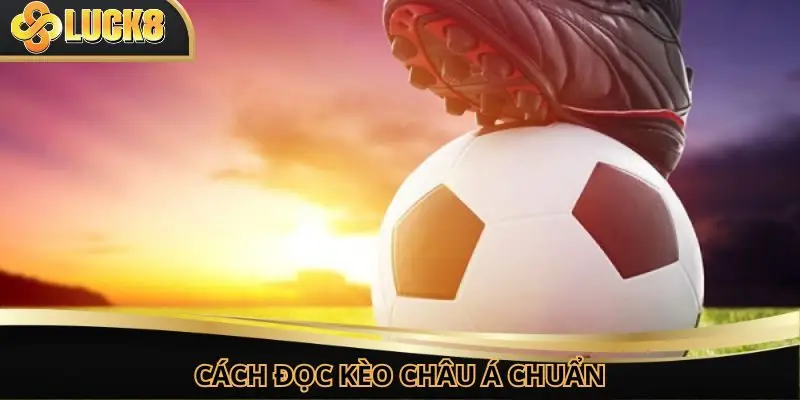 Giải mã kèo châu Á với cẩm nang từ A - Z cho tân binh